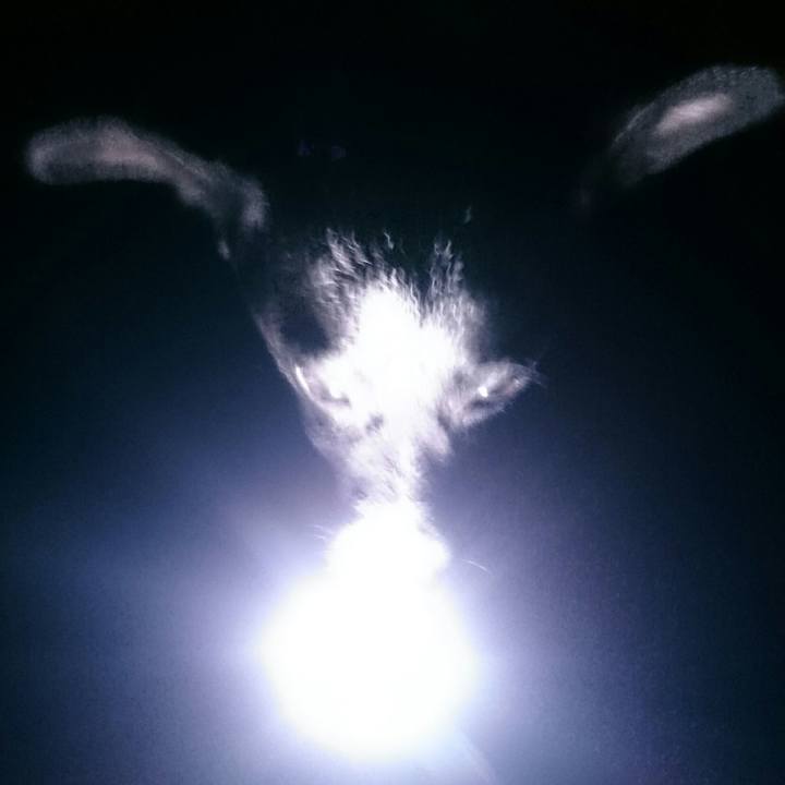 3e4b8b52 6638 42e3 b967 4d33c4184ec4