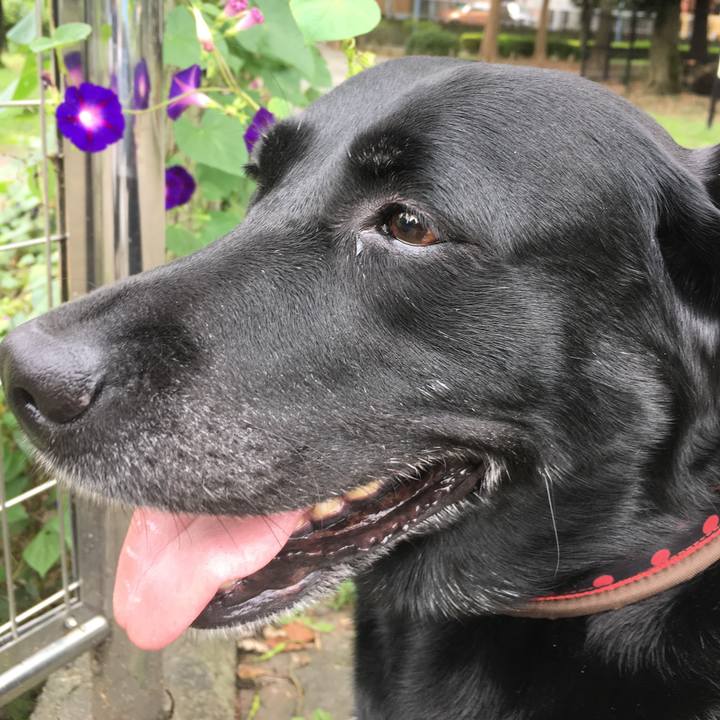 3e4b9558 3c3c 43de 9ca0 62262626665c