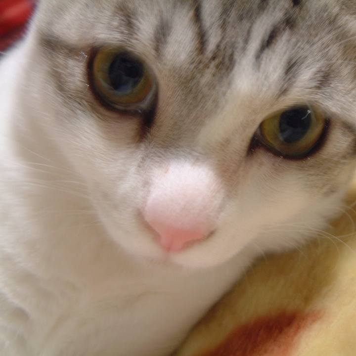 3e4ba3d7 4024 4498 be10 0d70f0e7a5f2