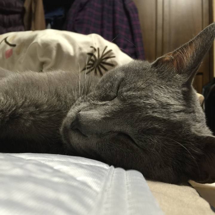 3e4c82cf 5bc1 4dce 968a 79db90d542c4