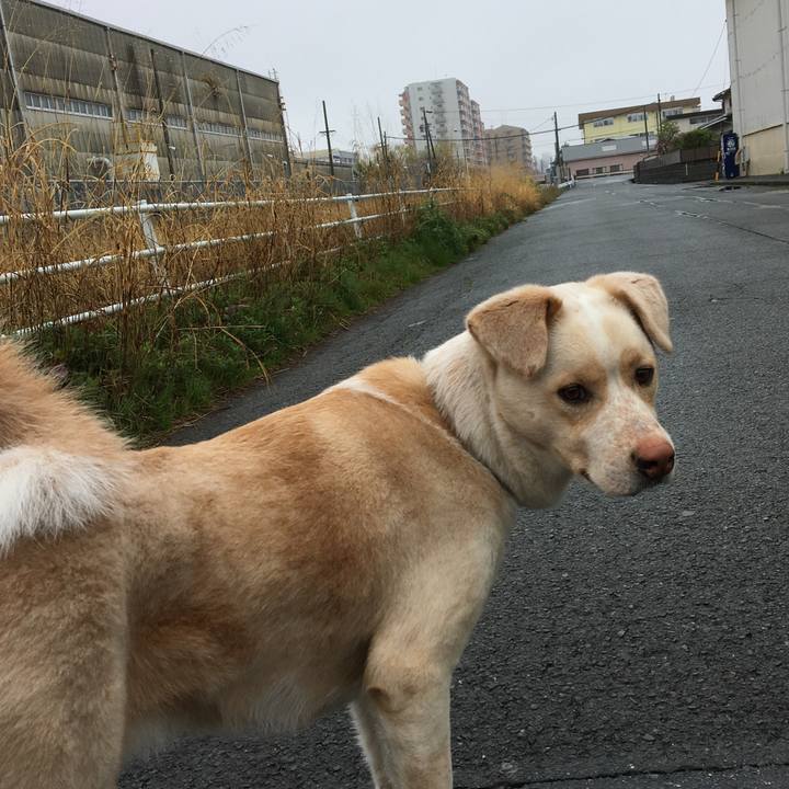 3e4c88e6 c4b7 438a af6c 539c4c5b0567