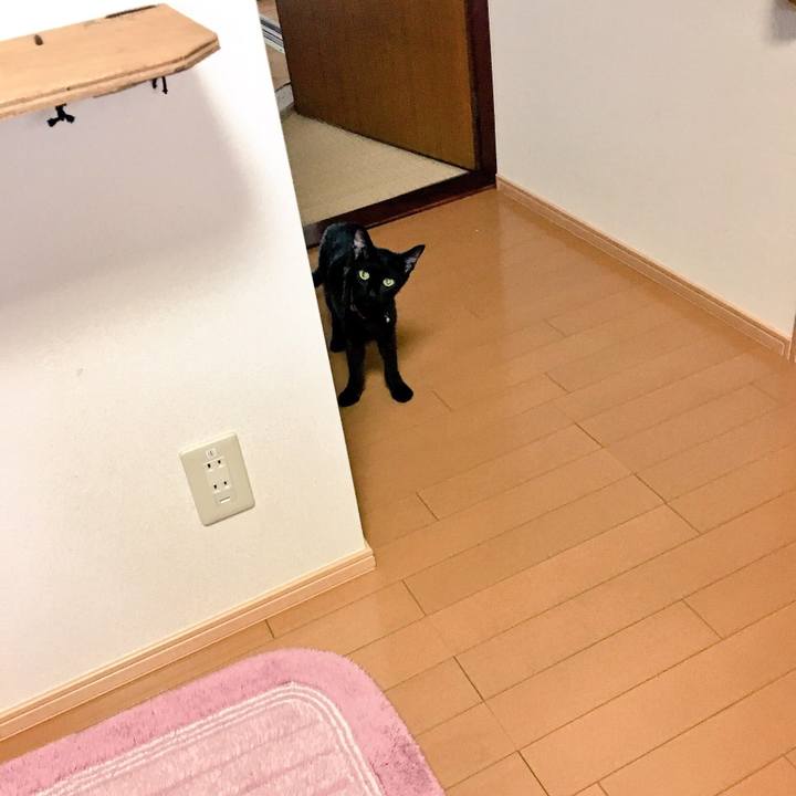 3e4dcf79 2059 49db addc 5303e0ac1a8d