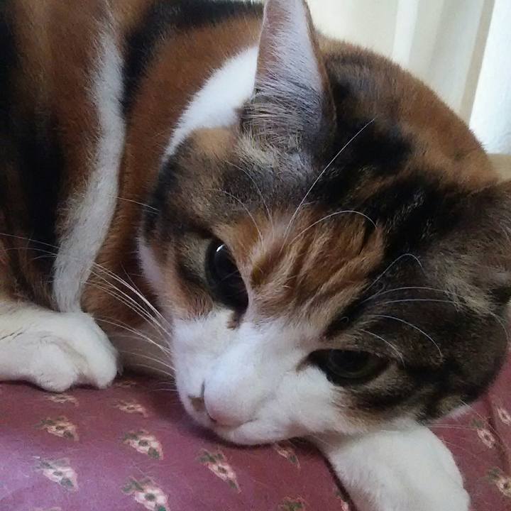 3e4dec01 ddd2 4bbe a2b3 d14bad7941b5