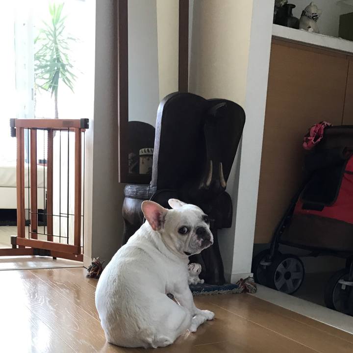 3e4e0403 861f 46ef 9e76 3f4e318c8551