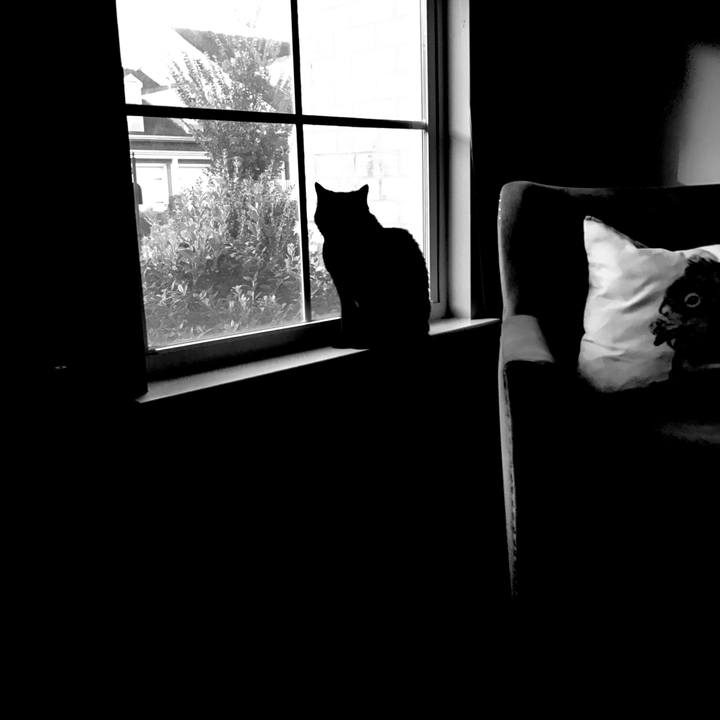 3e4e983a 86d6 4dab b490 0e9404b82dca