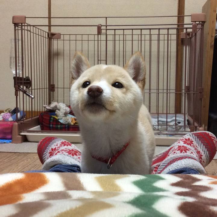 3e4eac7c 095e 4efb a13c 51f3edde81a0