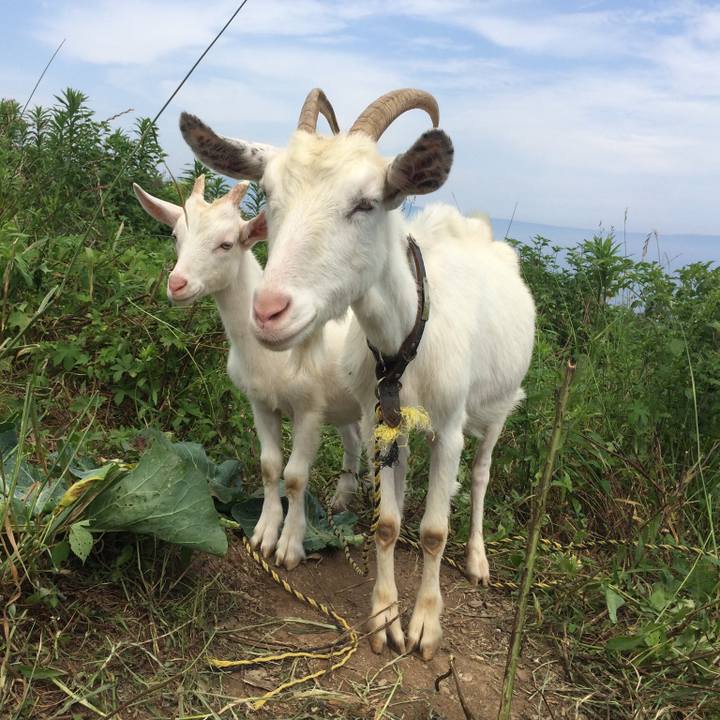 3e4edd52 2582 4b42 8e56 1bbee71e9300