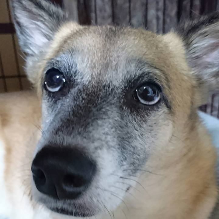 3e4ef6d7 a6e7 467e 89ef 3f68a063a42c