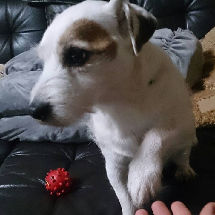 3e4f0cb9 183b 43bb 8653 23f9c111cdf3