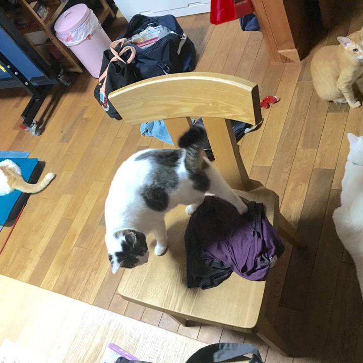 3e4f467c cf26 4114 b171 25fc7e5a45e8