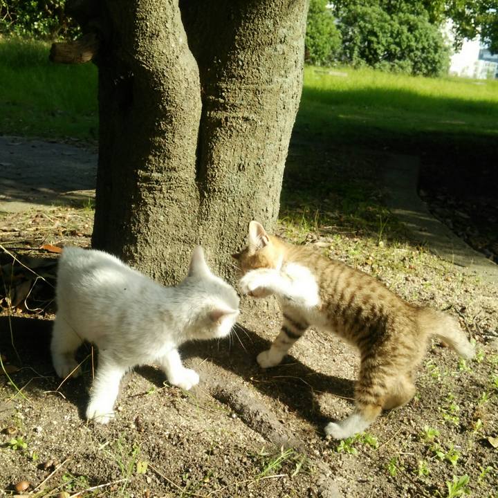 3e4f7831 7ac5 4d17 8a5e d3147e78184e