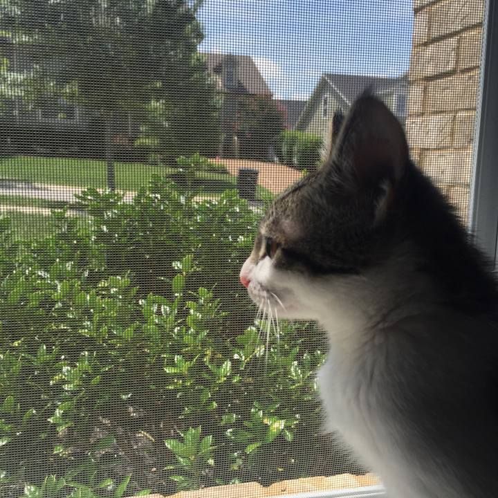 3e517bec 839b 4d4a 9788 f8bb8170acec