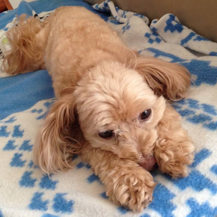 3e5312c0 e286 48f6 997e 57abaa83fdc6