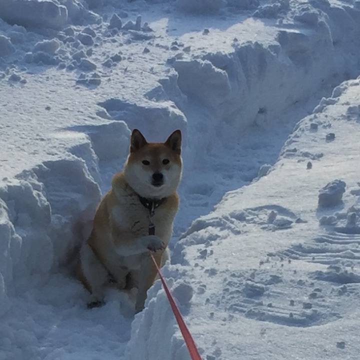 3e531b93 0ec3 4390 94ab 6bb7165d7a51