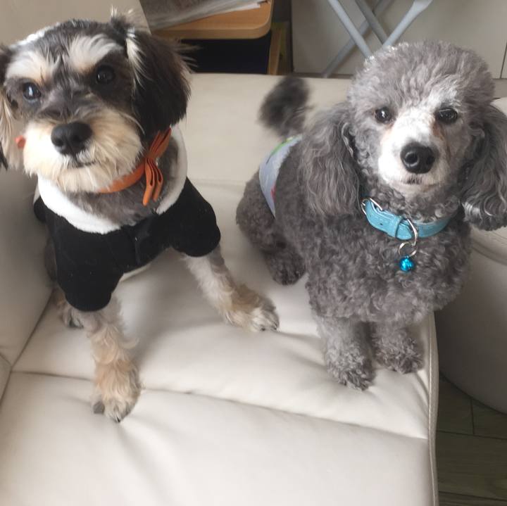 3e53e5db 5e42 4ab9 b6f4 4a1e9dbdbe64