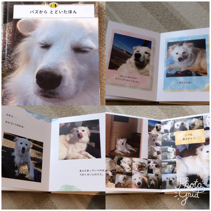 3e53f007 820e 4a60 a14c 9d35839d695a