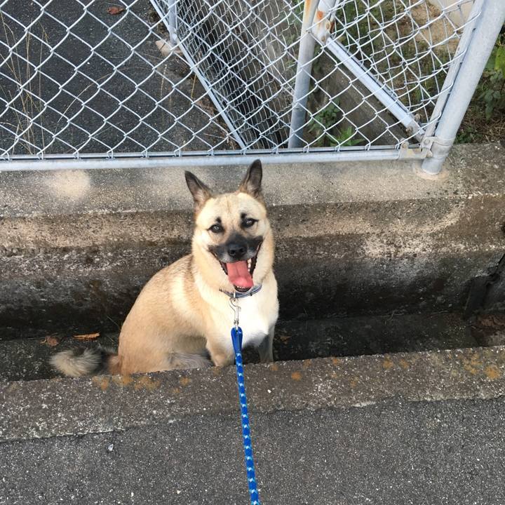 3e542012 5c25 47cb b21f 19acecd40f6b