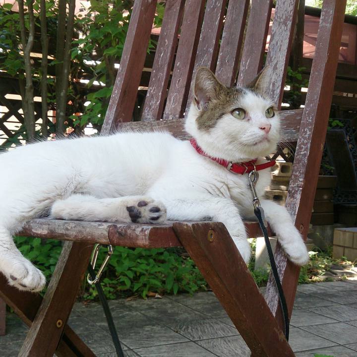 3e54c599 4f24 4101 b3ce f55f220171cd