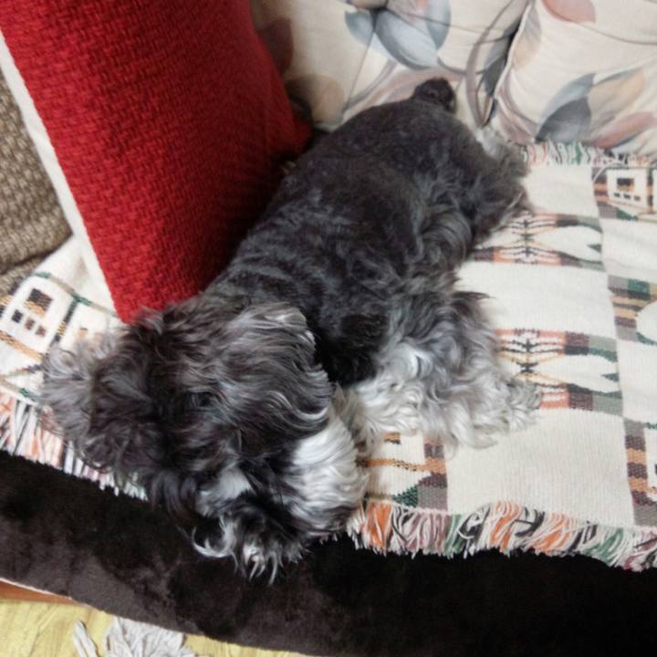 3e54dac4 a45f 4bdb b3d5 59bc8ea8a56e