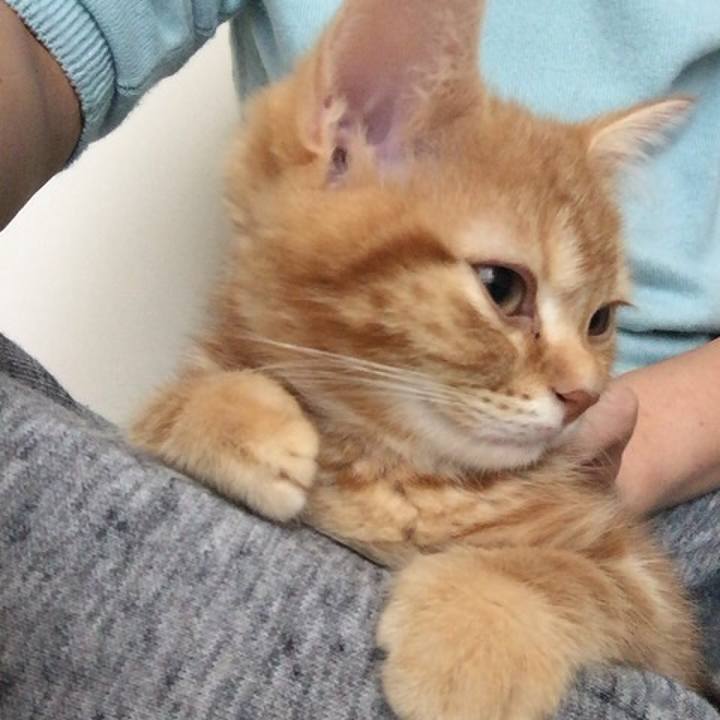 3e568a83 d436 4573 aab0 5db72c885236