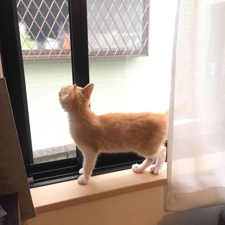 3e569359 ee02 4485 8186 27c75668c886