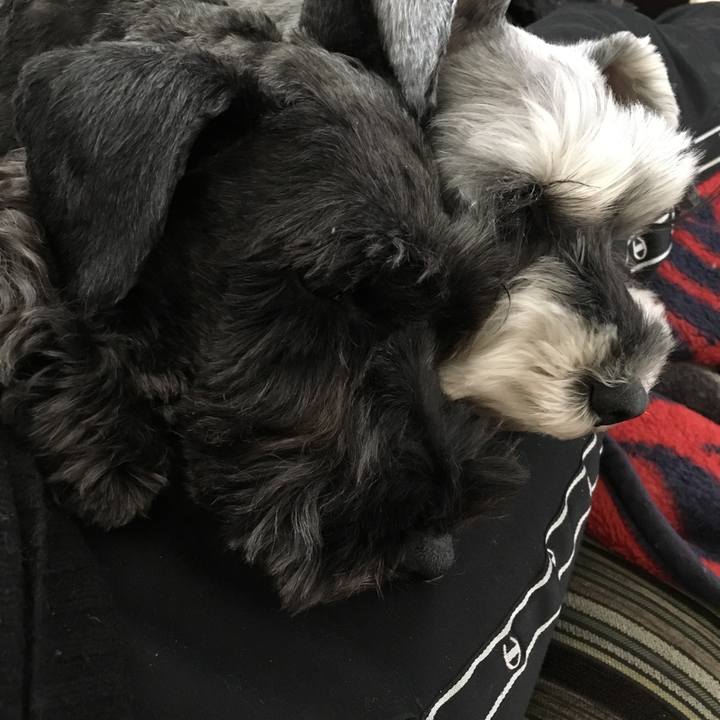 3e5706af 17db 4ce2 bb99 201e2d8a9267