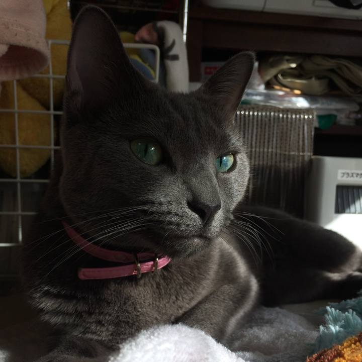 3e571bf1 ad87 4308 b62f 4c6a7ca3ef77