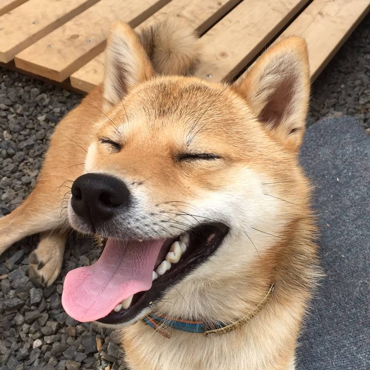 3e572746 5578 4ad6 b5e4 101392ad097f