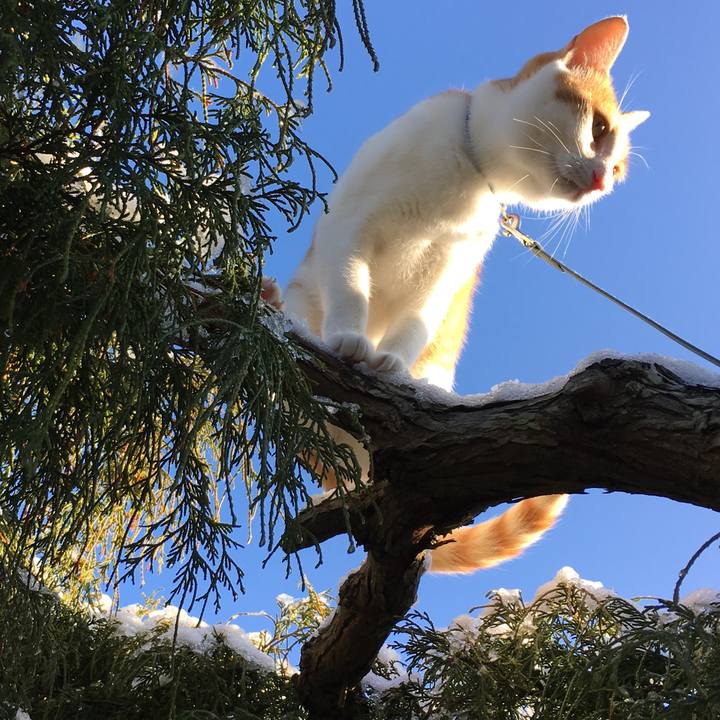 3e57626f db7b 4410 b96b bc08e1559263