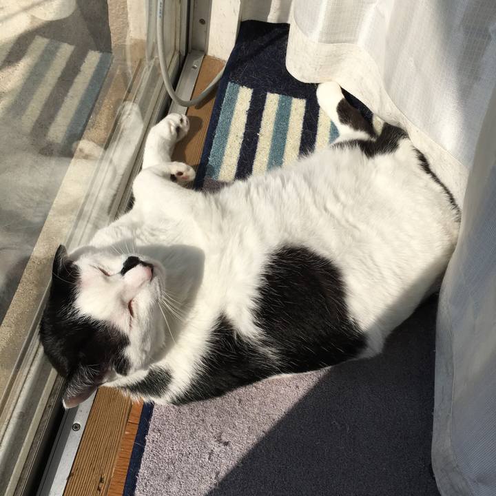 3e58839c c474 4dd4 9b34 945d22418213