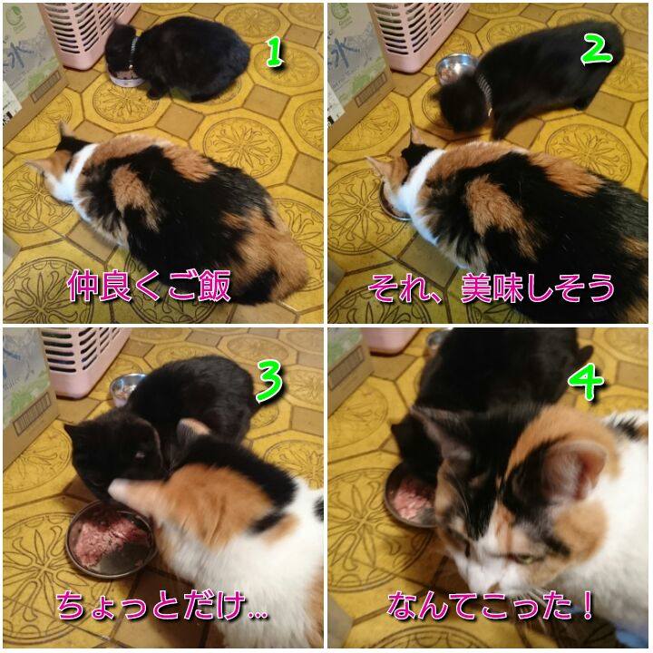 3e591a7f 58d7 4a92 9262 f7dff906eff3