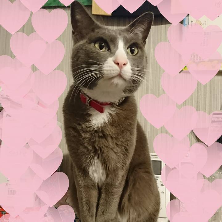 3e597a01 9654 4768 81c7 22dfacabd89a