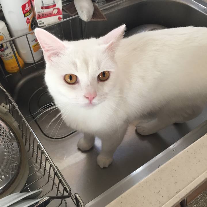 3e5997d1 0827 4004 9fcc cf380cede0c3