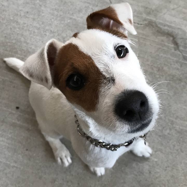 3e59c4cd 21dc 432e 9f30 e1eb137247e3