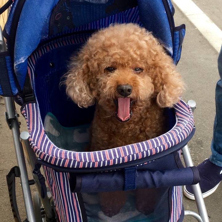 3e5a1fdf a404 4d0e a27a 16e92f30719c