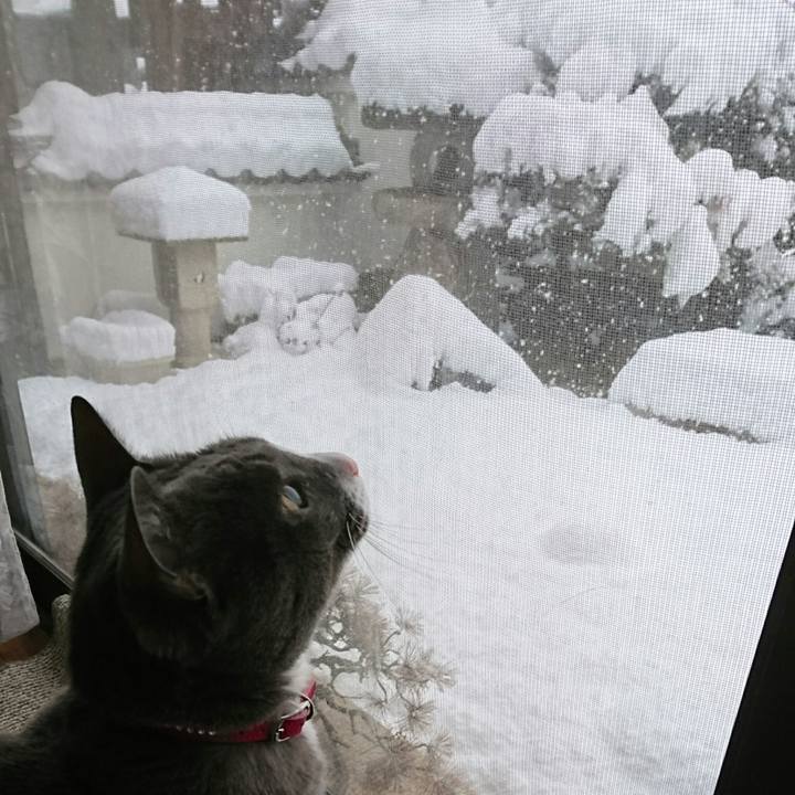 3e5a61b2 19e9 4278 a88c 59f59022cbf0