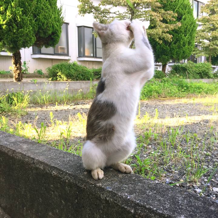 3e5a7195 6e7e 4fd0 865a 8fff94716695