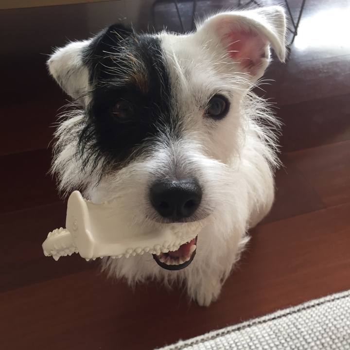 3e5a9dc8 15bd 4a8b 8235 ec47ad8806ca