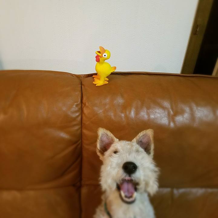 3e5acd02 1aa9 464d b5be c18f776a541c