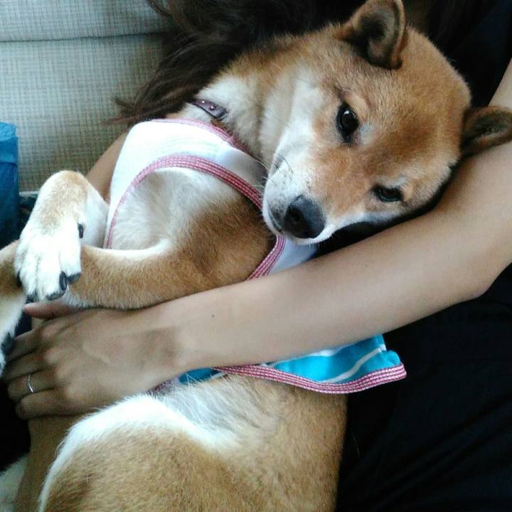 3e5b05ae a5ce 436c 8959 f2d6f22d35e5