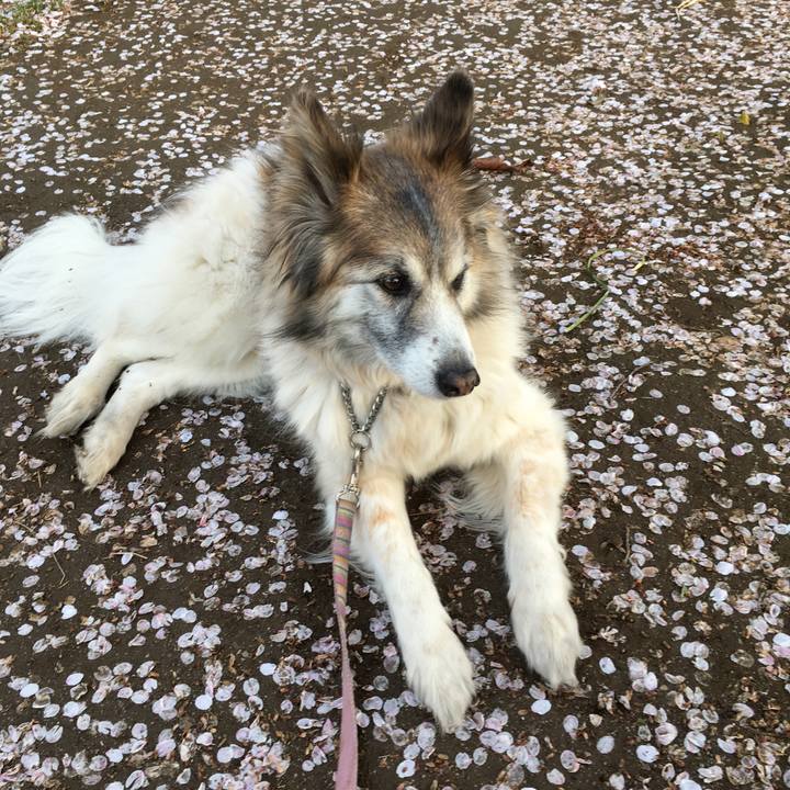 3e5b58fa aac5 4ebe 9c4e e004b7acda6e