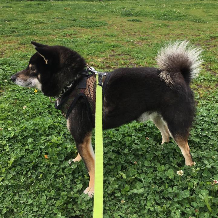 3e5be8e1 39ce 4a0e 92f4 97520a9a03b5