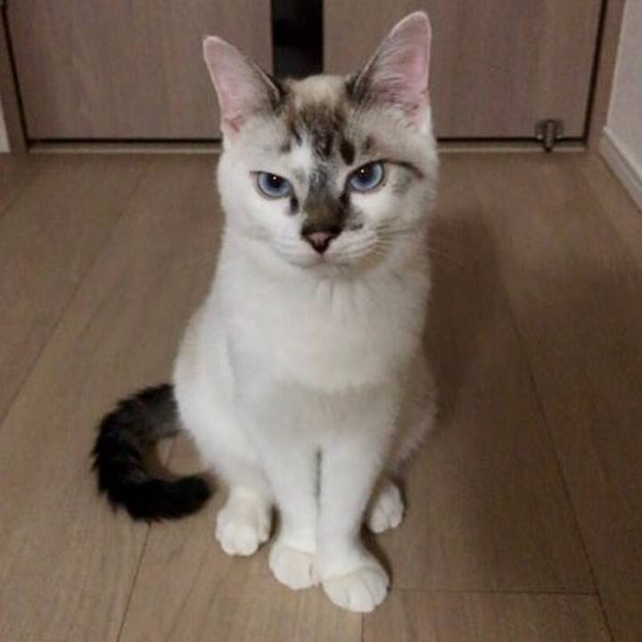 3e5c8d5a b1a3 464c 8b52 a49e0ed01b24