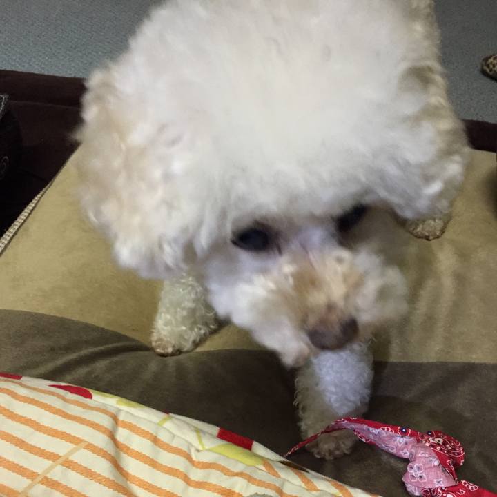 3e5c9348 4650 4966 8a5f 7787d239b860