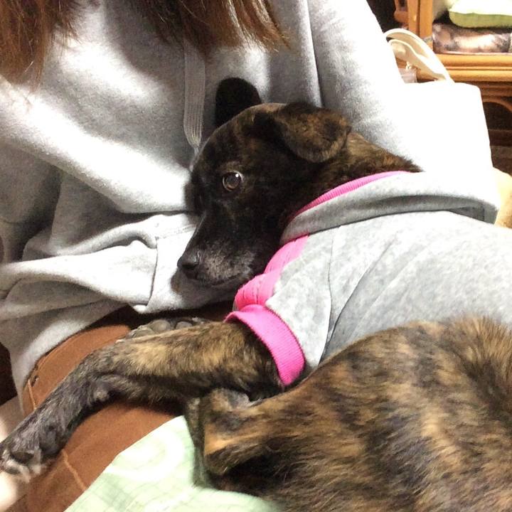 3e5cbc87 cb8c 4d5e 9ceb 64e4bb9123e4