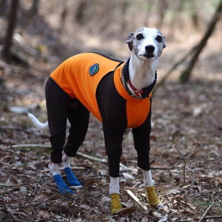 3e5cf7ac 1c5c 4d2b a492 88bbd2944297