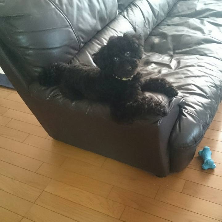 3e5dbc5f 2e08 4e94 b01d 26cae10e0fb6