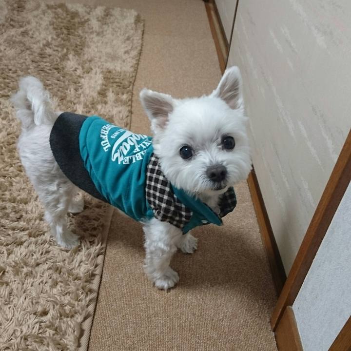 3e5de15c 3609 4a0f 93c8 14edfe0bd734