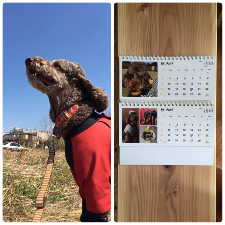 3e5f2d67 770d 41ff 907d 83c59a6cb49f