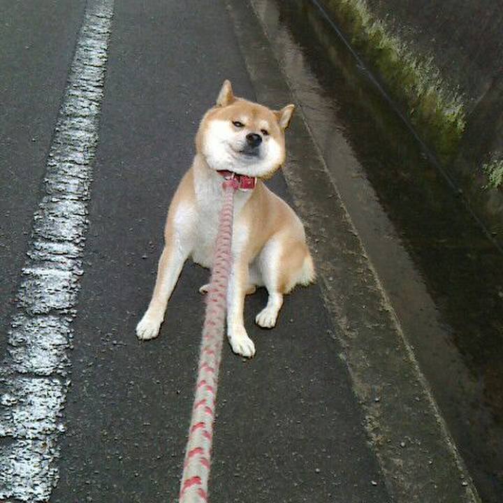 3e60593c 140e 496a b4e7 dd8611ae3903